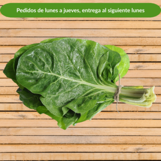 Acelga verde, manojo de 150 g