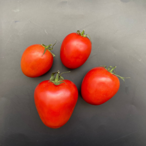 Jitomate saladet, kg