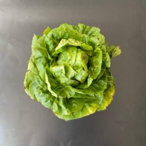 Lechuga corazón verde, pieza