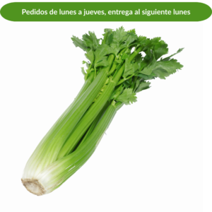 Apio, manojo de 450 g
