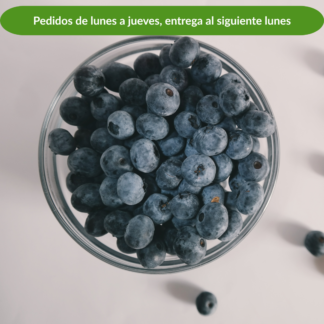 Blueberries, domo de 510 g