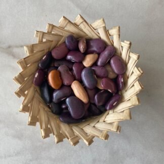 Frijol ayocote arcoiris, 100 g