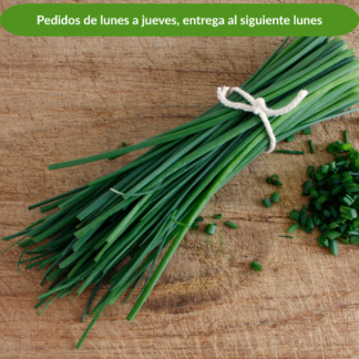 Cebollín, manojo