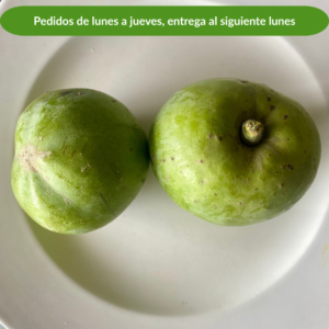 Zapote blanco, kg
